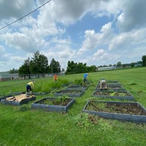 Volunteers came out to help weed, prep, and plant on the LaLumier community garden work day. 